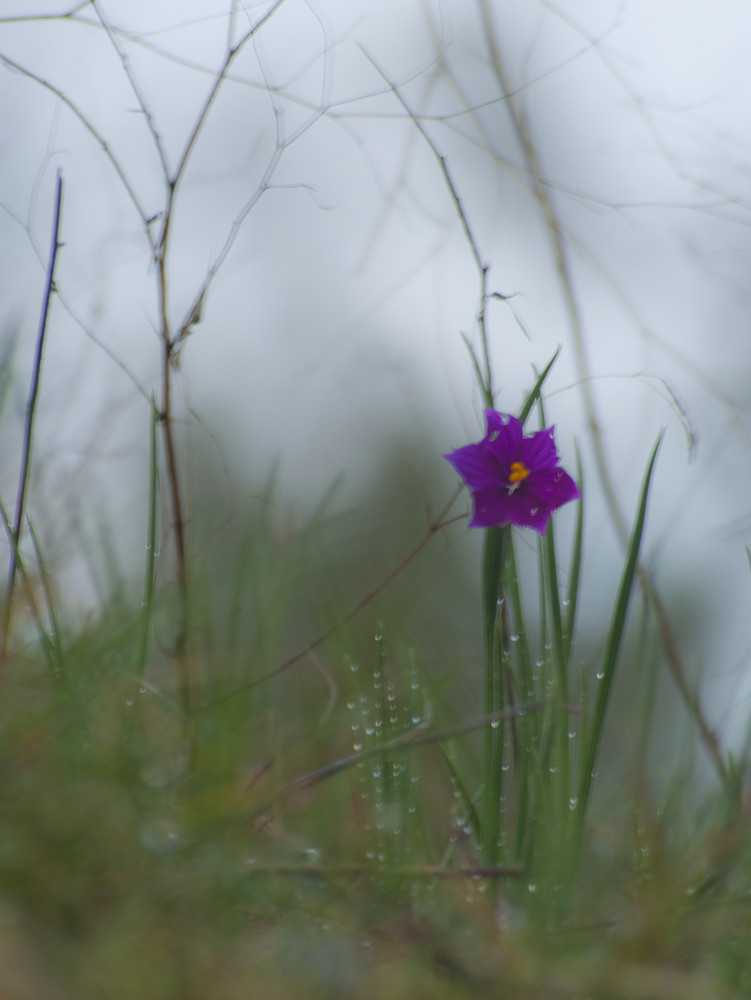 "You cannot depend on your eyes when your imagination is out of focus." ~Mark Twain