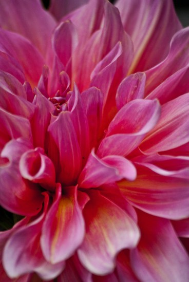 "The more you say, the less people remember." ~François Fénelon