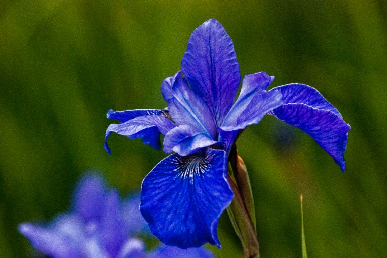 "If we treat people as they are, we make them worse. If we treat people as they ought to be, we help them become what they are capable of becoming." -Johann Wolfgang von Goethe 