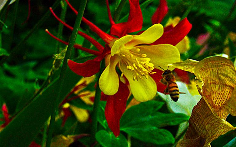 "When one tugs at a single thing in nature, he finds it attached to the rest of the world." ~John Muir