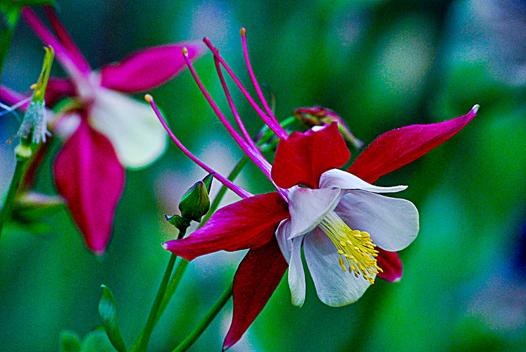 "How wonderful it is that nobody need wait a single moment before beginning to improve the world. " ~Anne Frank