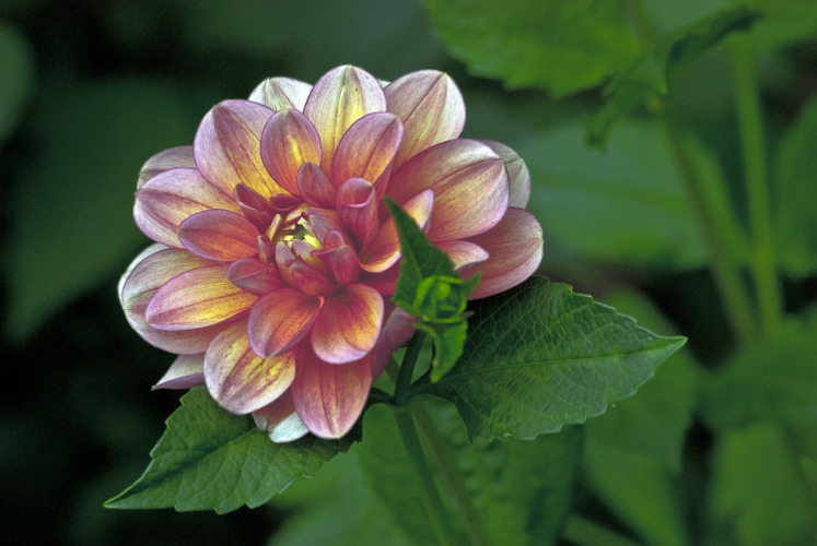 "Out disrespect for thinking: Someone sitting in a chair, gazing out of a window blankly, always described as "doing nothing'." ~Alain de Botton