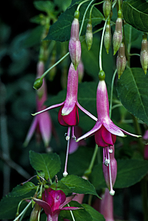 “If you're going through hell, keep going.” ~Winston Churchill 