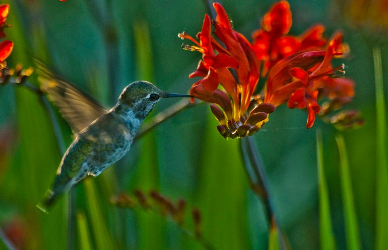 "Lessons often come dressed up as detours and roadblocks." ~Oprah