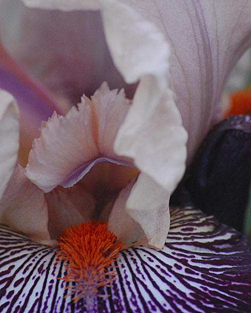 "I don’t know the key to success, but the key to failure is trying to please everybody. " ~Bill Cosby