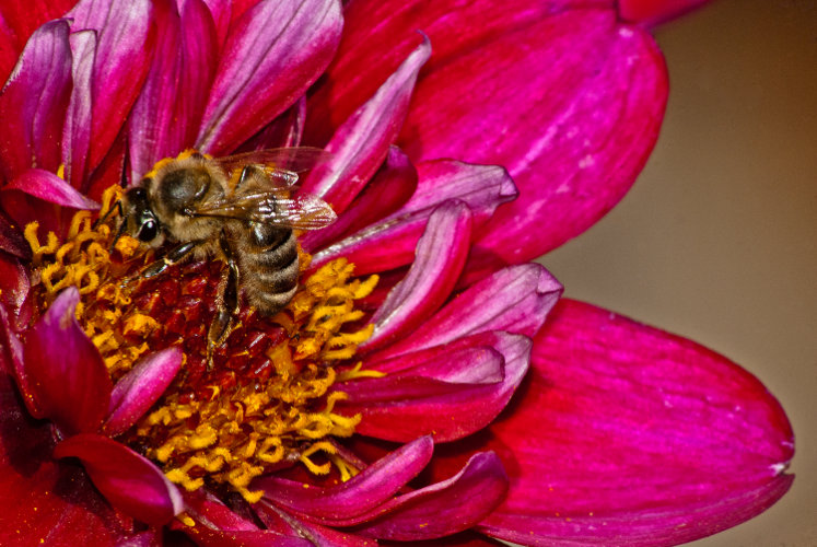 "When you're finished changing, you're finished." ~Benjamin Franklin