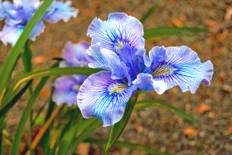 "Above all, be true to yourself, and if you cannot put your heart in it, take yourself out of it." ~Unknown