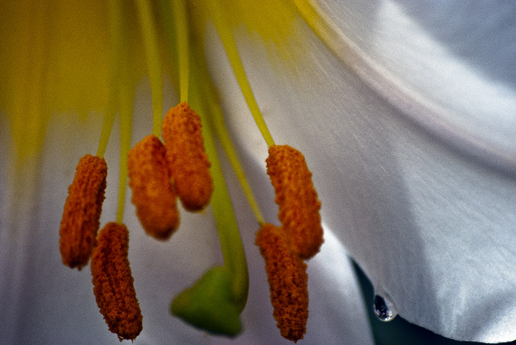 "Integrity is telling myself the truth. And honesty is telling the truth to other people." ~Spencer Johnson