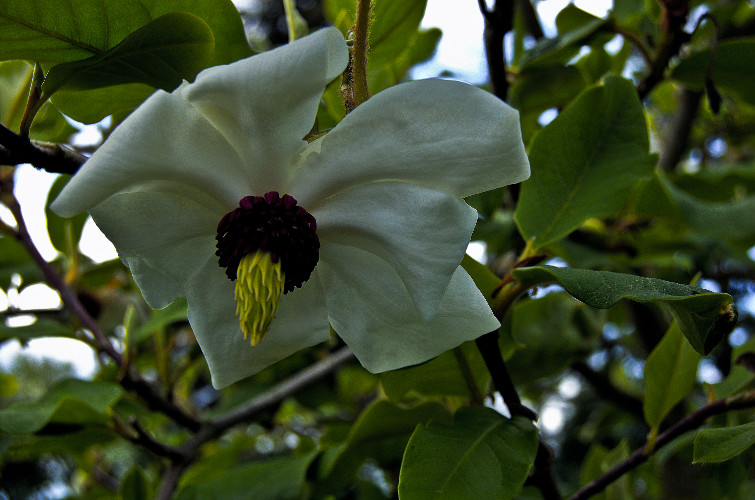 "If you want to make your dreams come true, the first thing you have to do is wake up." ~J.M. Power