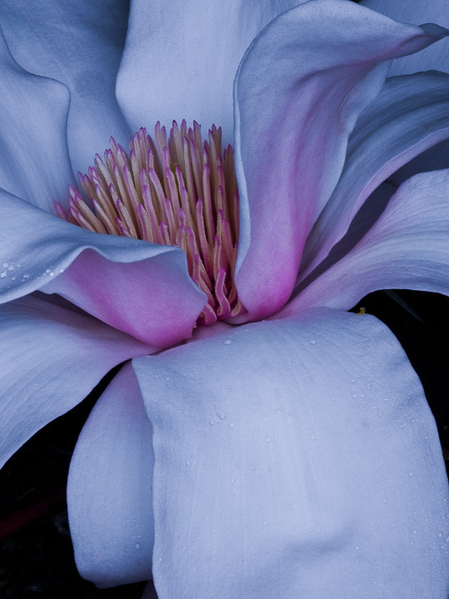 “Sometimes people are beautiful. Not in looks. Not in what they say. Just in what they are.” ~Markus Zusak