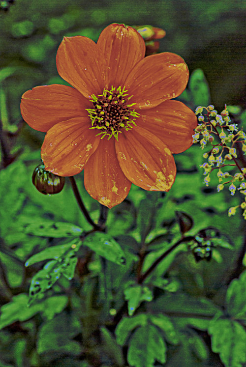 "After climbing a great hill, one only finds that there are many more hills to climb." ~Mandela