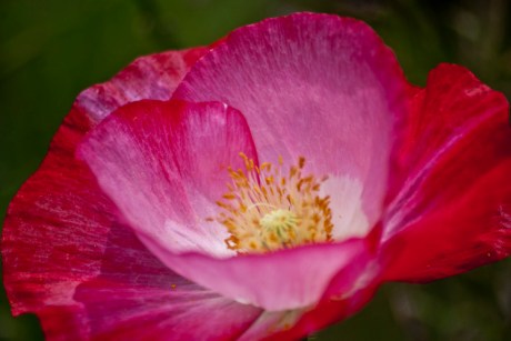 "Do not look for approval except for the consciousness of doing your best." ~Andrew Carnegie