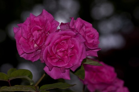 "Some people strengthen society just by being the kind of people they are." ~John W. Gardner