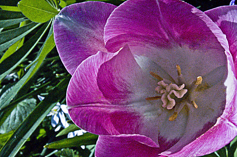 "Nothing can stop the man with the right mental attitude from achieving his goal; nothing on earth can help the man with the wrong mental attitude." ~Thomas Jefferson