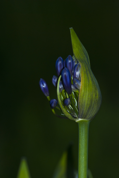 "In giving, mind transforms the gift and the gift transforms the mind." ~Zen Master Dogen