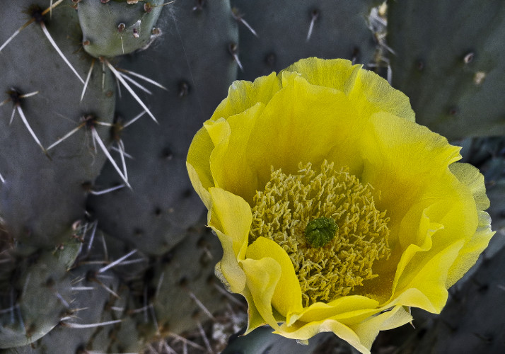 "You take on the responsibility for making your dream a reality." ~Les Brown