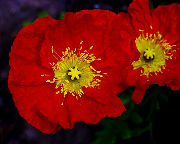 "We are all motivated by a keen desire for praise, and the better a man is, the more he is inspired to glory." ~Cicero