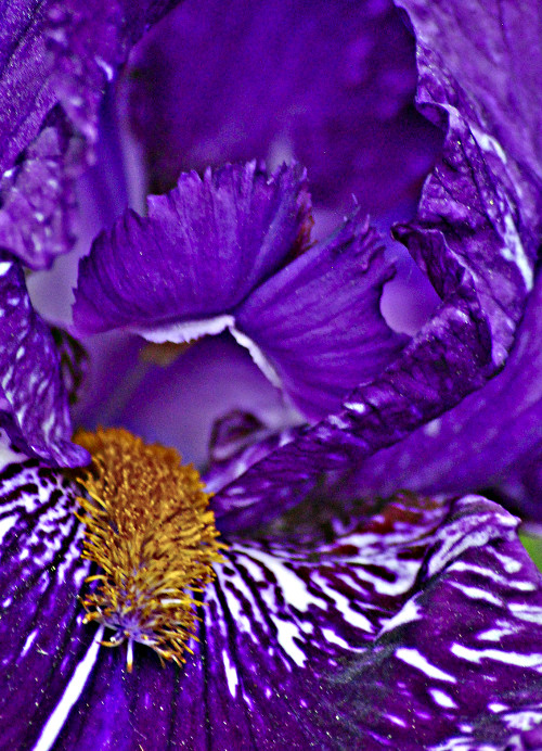 "I cannot give you the formula for success, but I can give you the formula for failure--which is: Try to please everybody." ~Herbert Bayard Swope