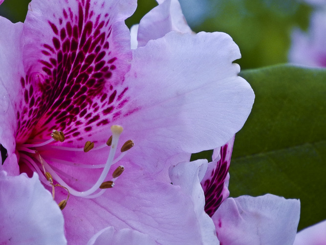 "We are what we repeatedly do. Excellence, therefore, is not an act but a habit." ~Aristotle