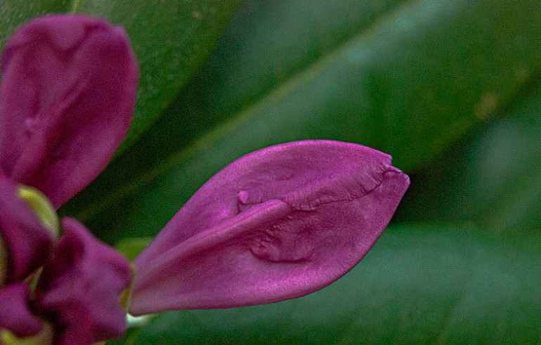 "There is only one person who could ever make you happy, and that person is you." ~David Burns