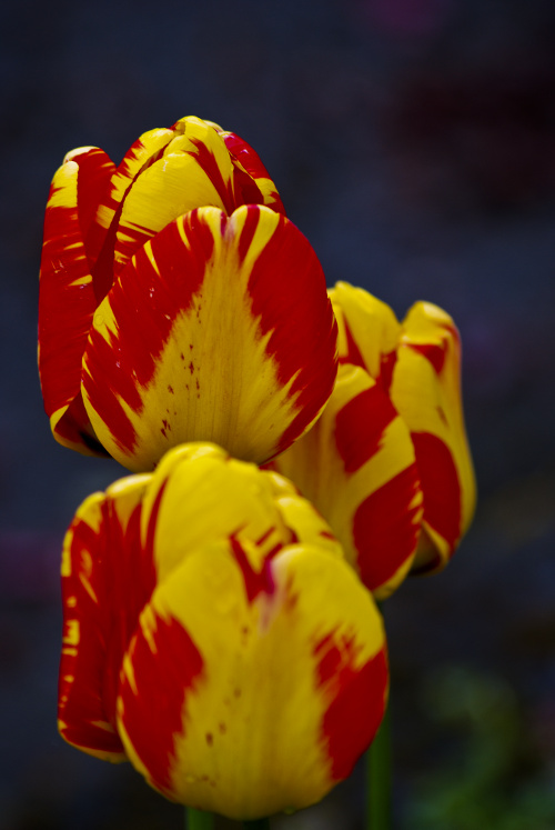 "If opportunity doesn’t knock, build a door." ~Milton Berle 