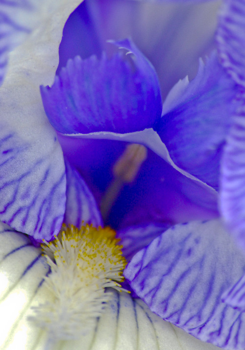 "Luck is a dividend of sweat. The more you sweat, the luckier you get." ~Ray Kroc 