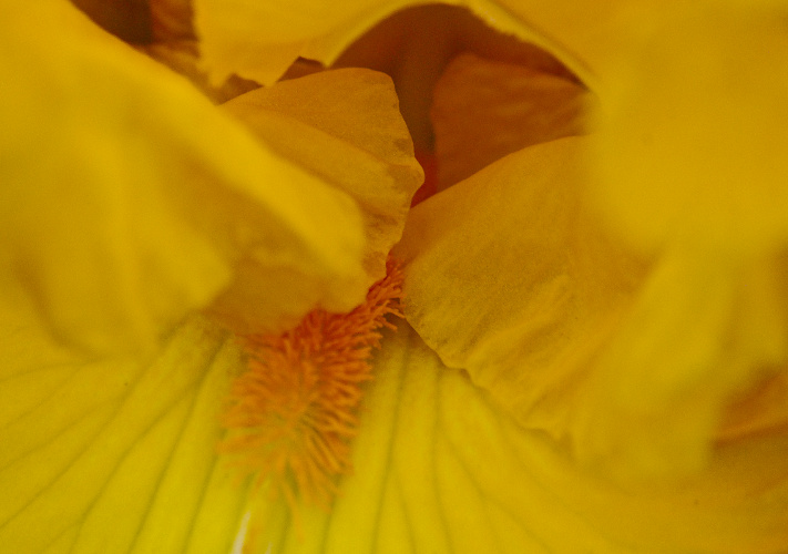 “I often find that people confuse inner peace with some sense of insensibility whenever something goes wrong. In such cases inner peace is a permit for destruction: The unyielding optimist will pretend that the forest is not burning either because he is too lazy or too afraid to go and put the fire out.” ~Criss Jami